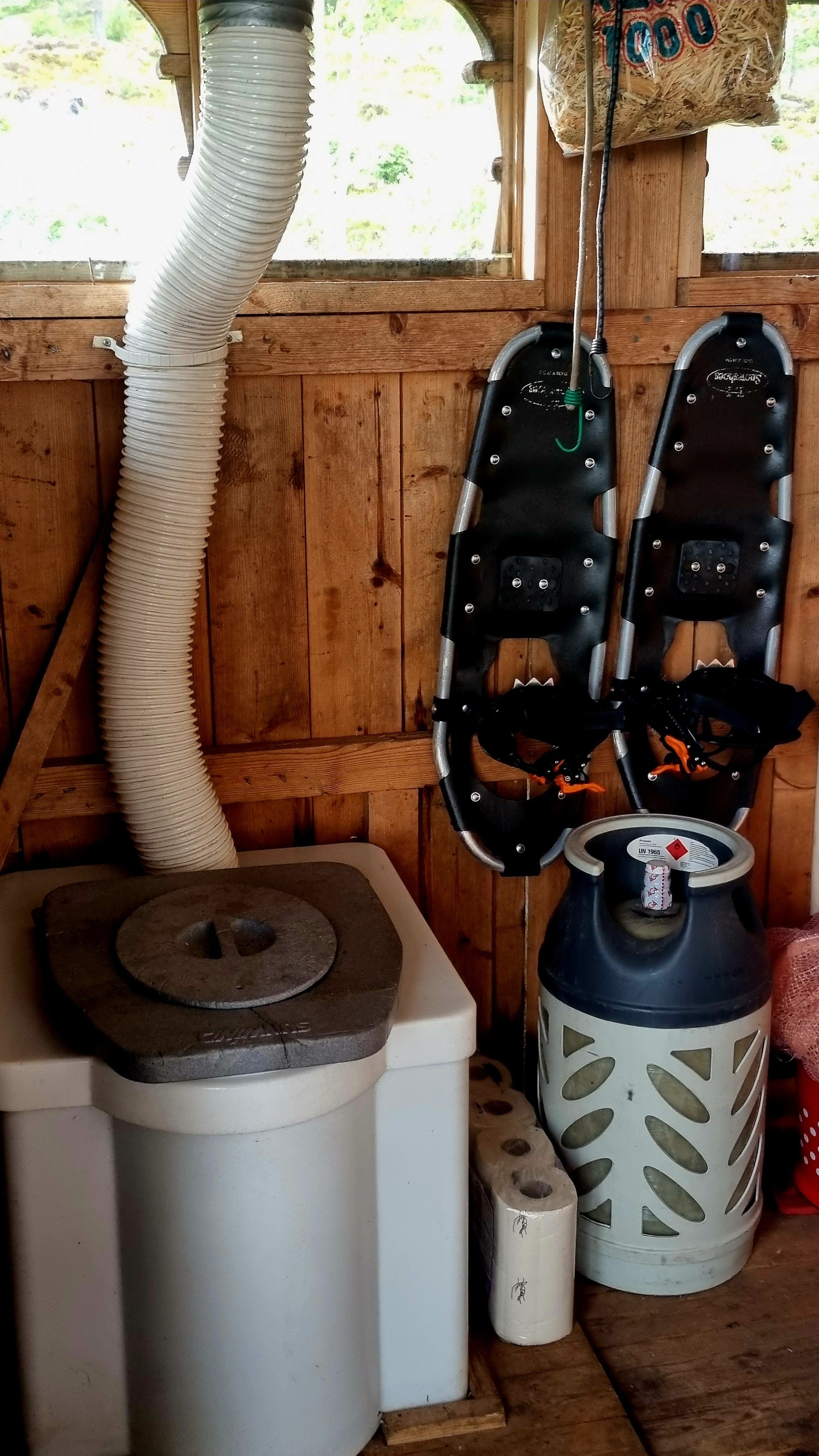 Miljødass Galleribilde