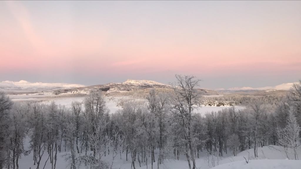 Vinterbilde av utsikt fra terrasse. Galleribilde