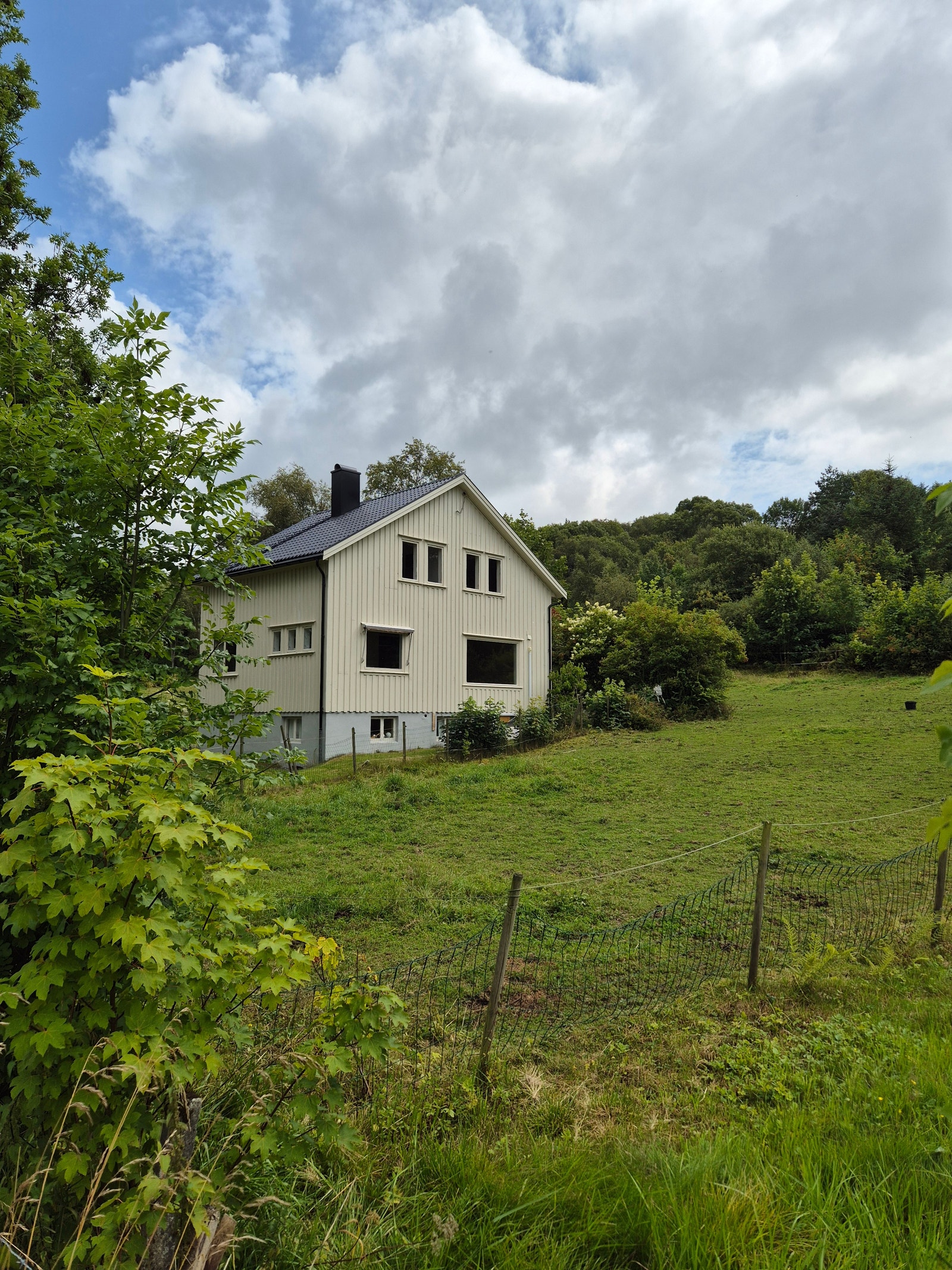 Fasde mot vest Galleribilde