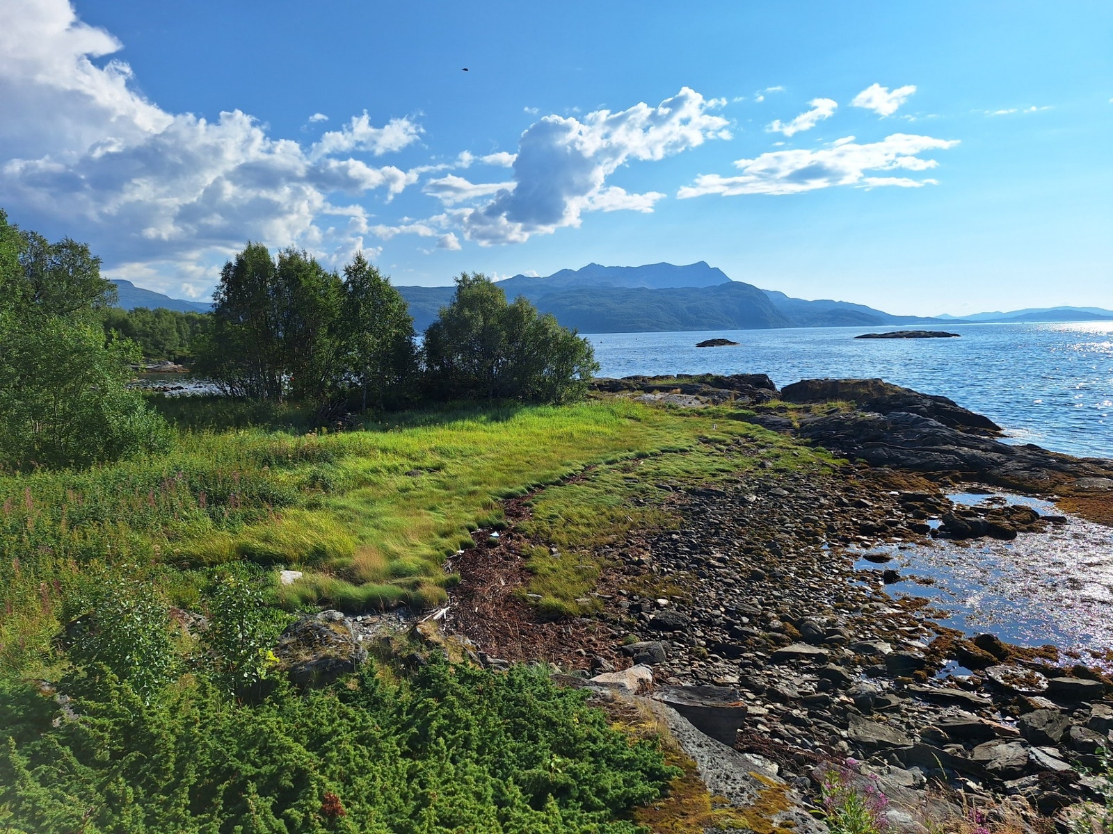 Sjelden mulighet ved sjøen. Galleribilde