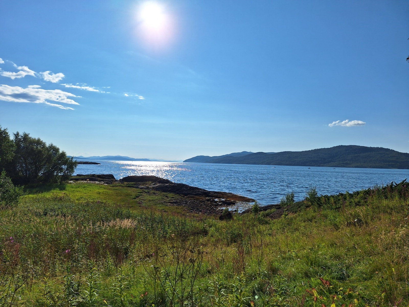 Spesielt fint område. Galleribilde