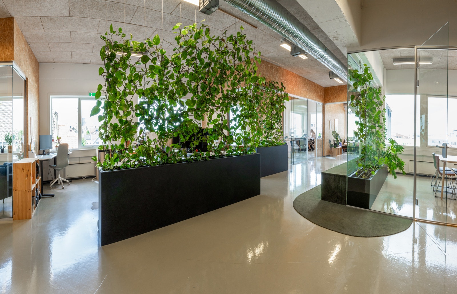 Grønne detaljer Galleribilde