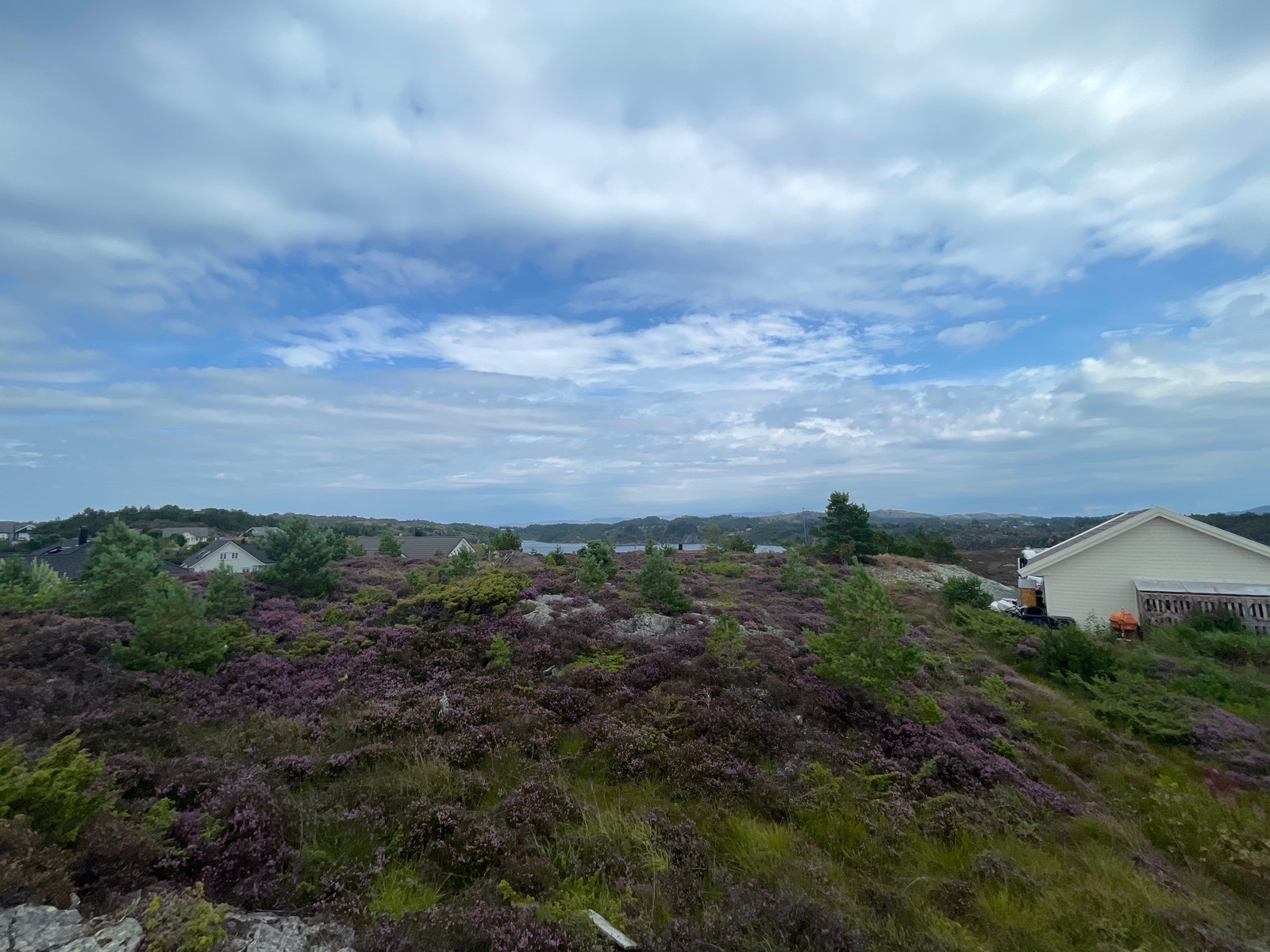 Boligtomt sentralt i byggefelt Galleribilde