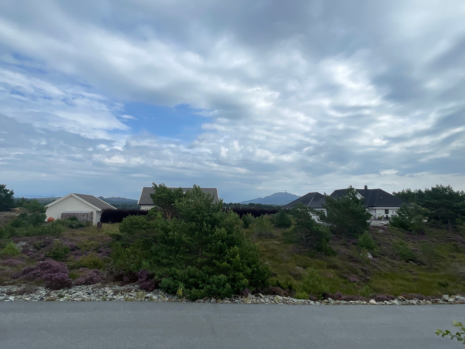 Utsikt mot Siggjo Galleribilde