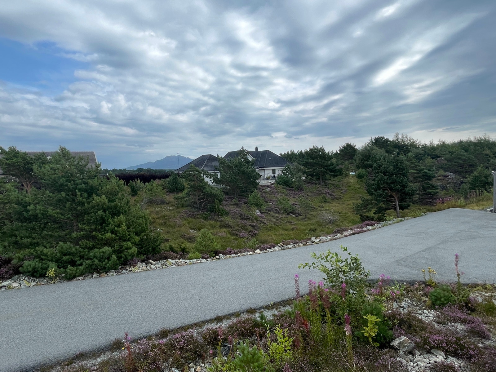 Utsikt mot Siggjo Galleribilde