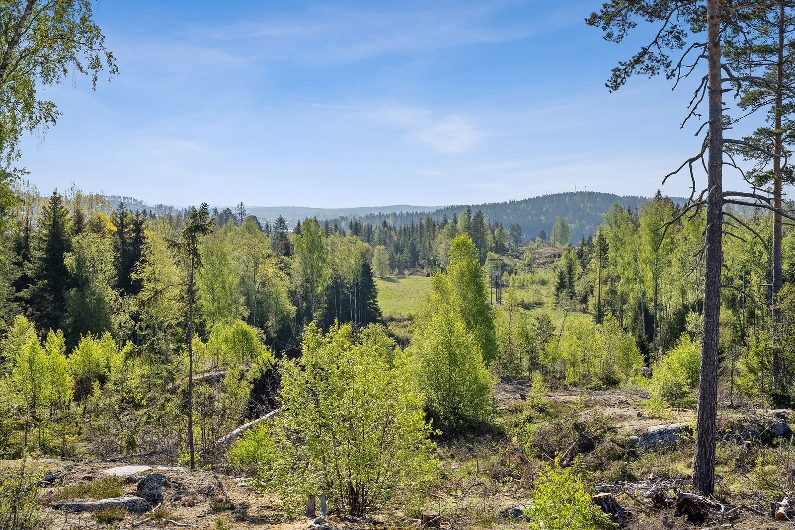 Utsikt - Naturskjønne omgivelser. Galleribilde