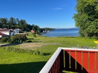 Utsikten mot fjorden Galleribilde