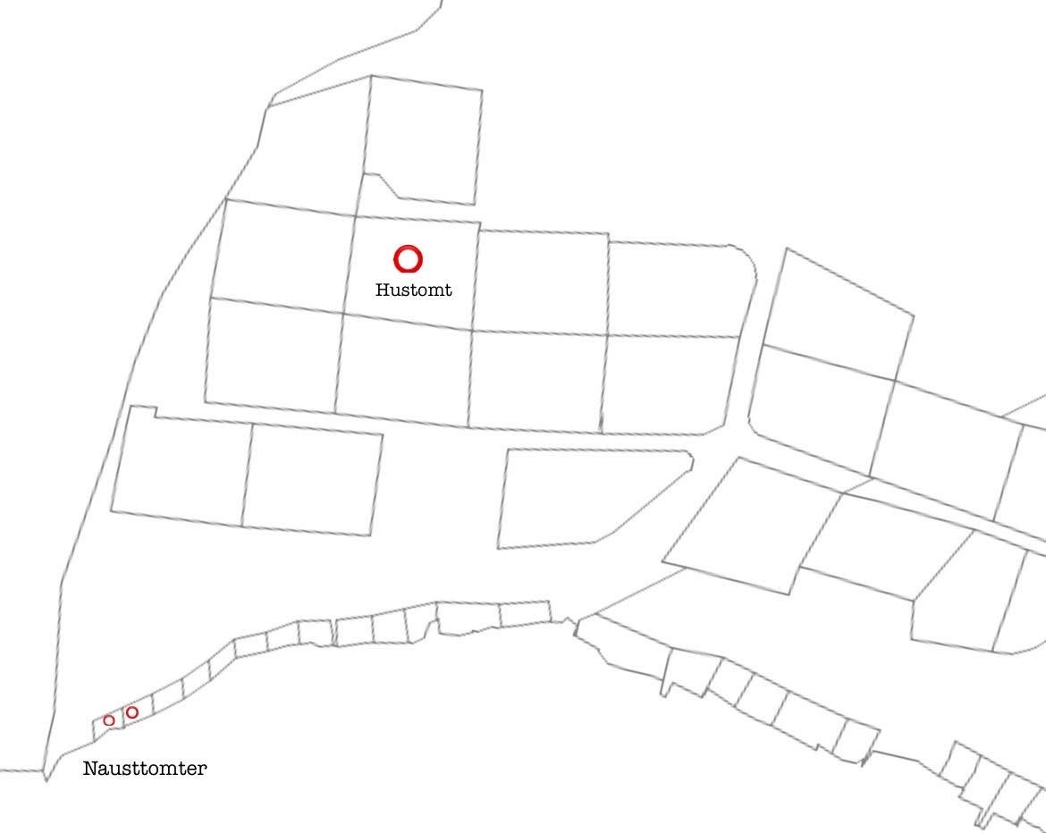 Oversiktsbilete, merka hustomt og nausttomter Galleribilde