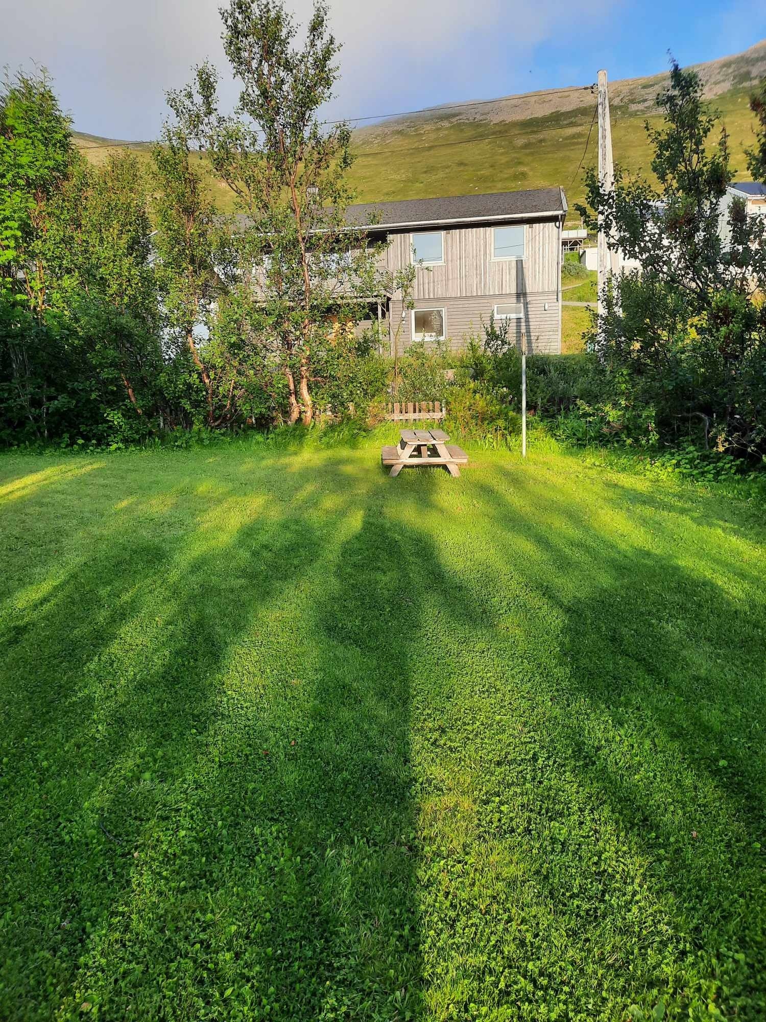 Deler av hagen Galleribilde