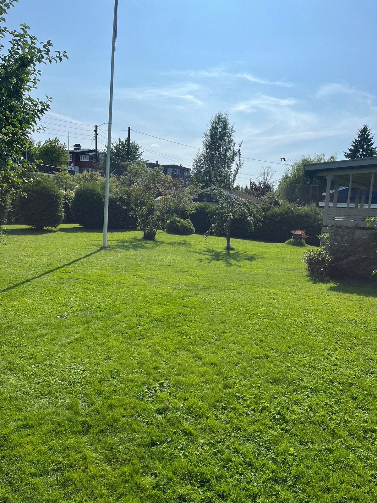 Stor og flat hage Galleribilde