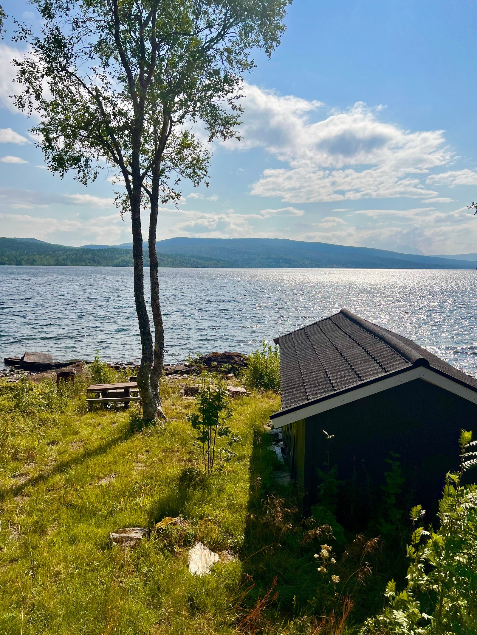 Magisk morgenstund med utsikt over vannet. Galleribilde