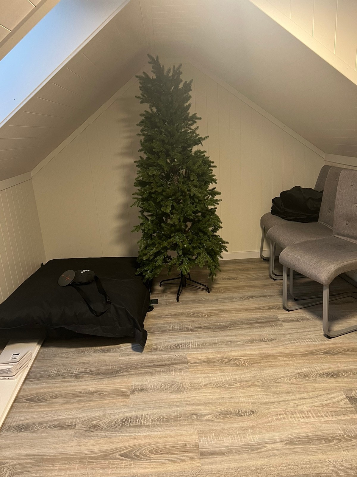 Loftsrom Galleribilde