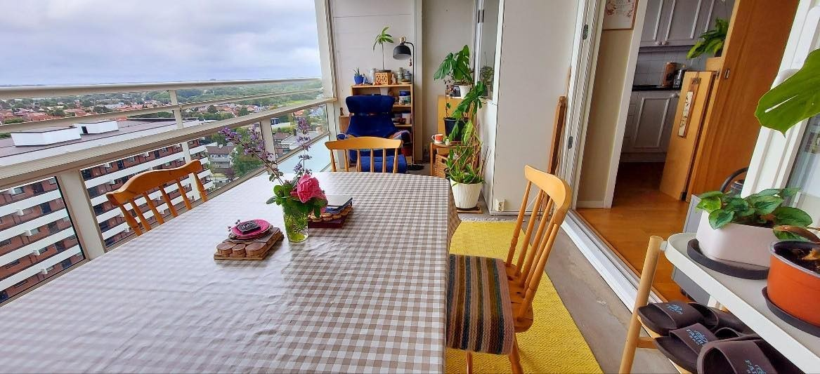 Vinterhage med utsikt Galleribilde