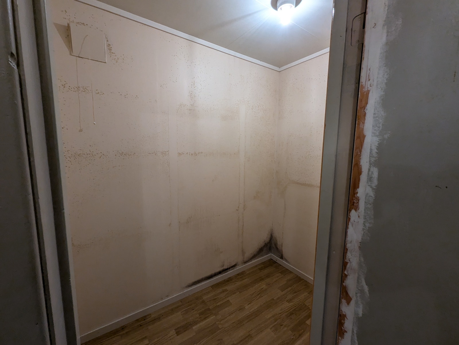 Kjellar - Bakre bod Galleribilde