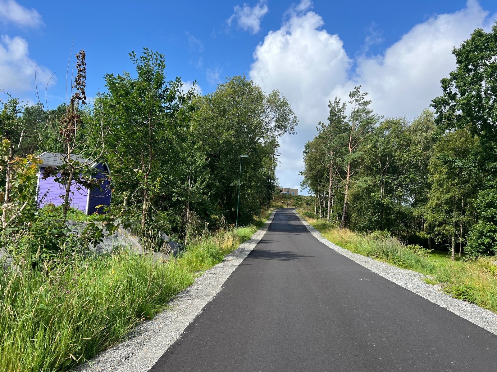 Koselig vei inn i området med veilys Galleribilde