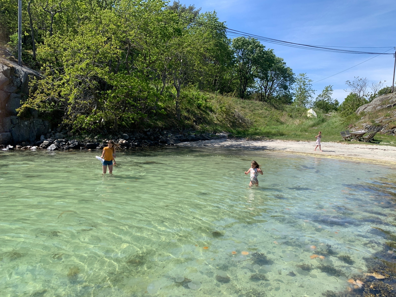 Strand i Indresund Galleribilde