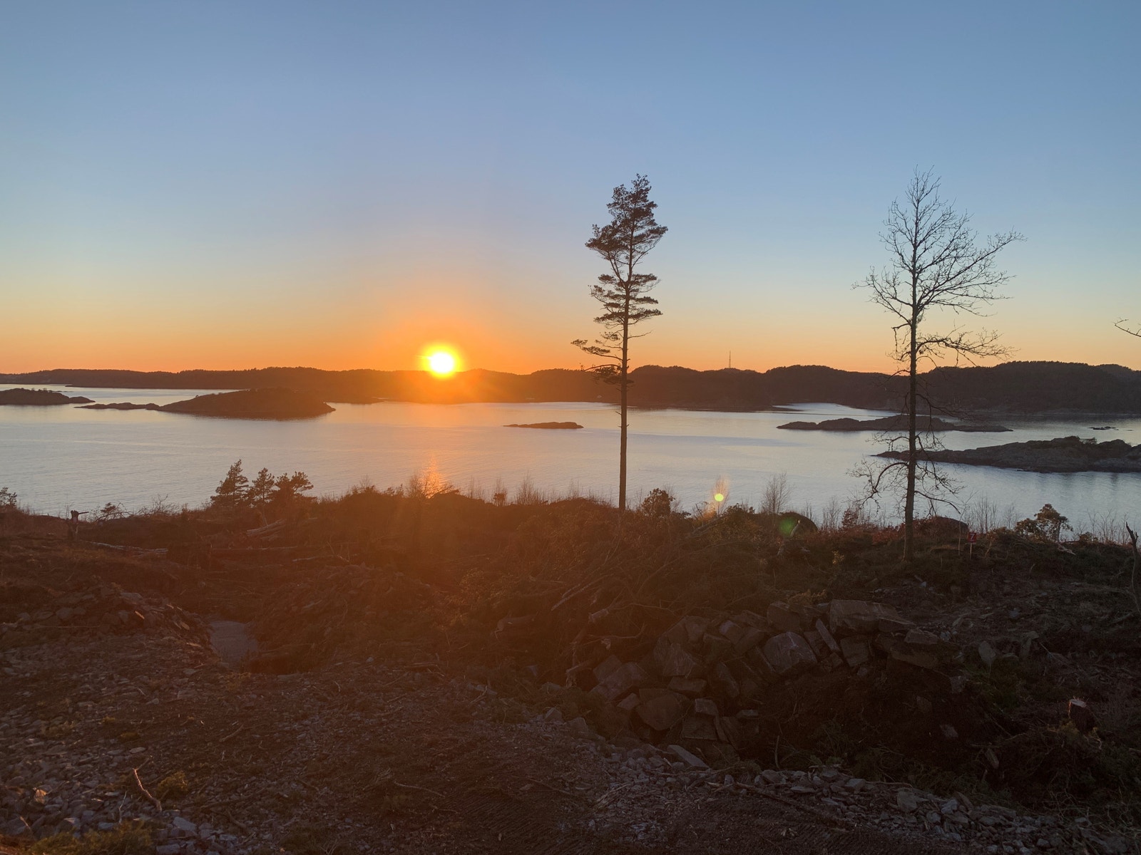 Kveldsola skinner på Ribeodden Galleribilde