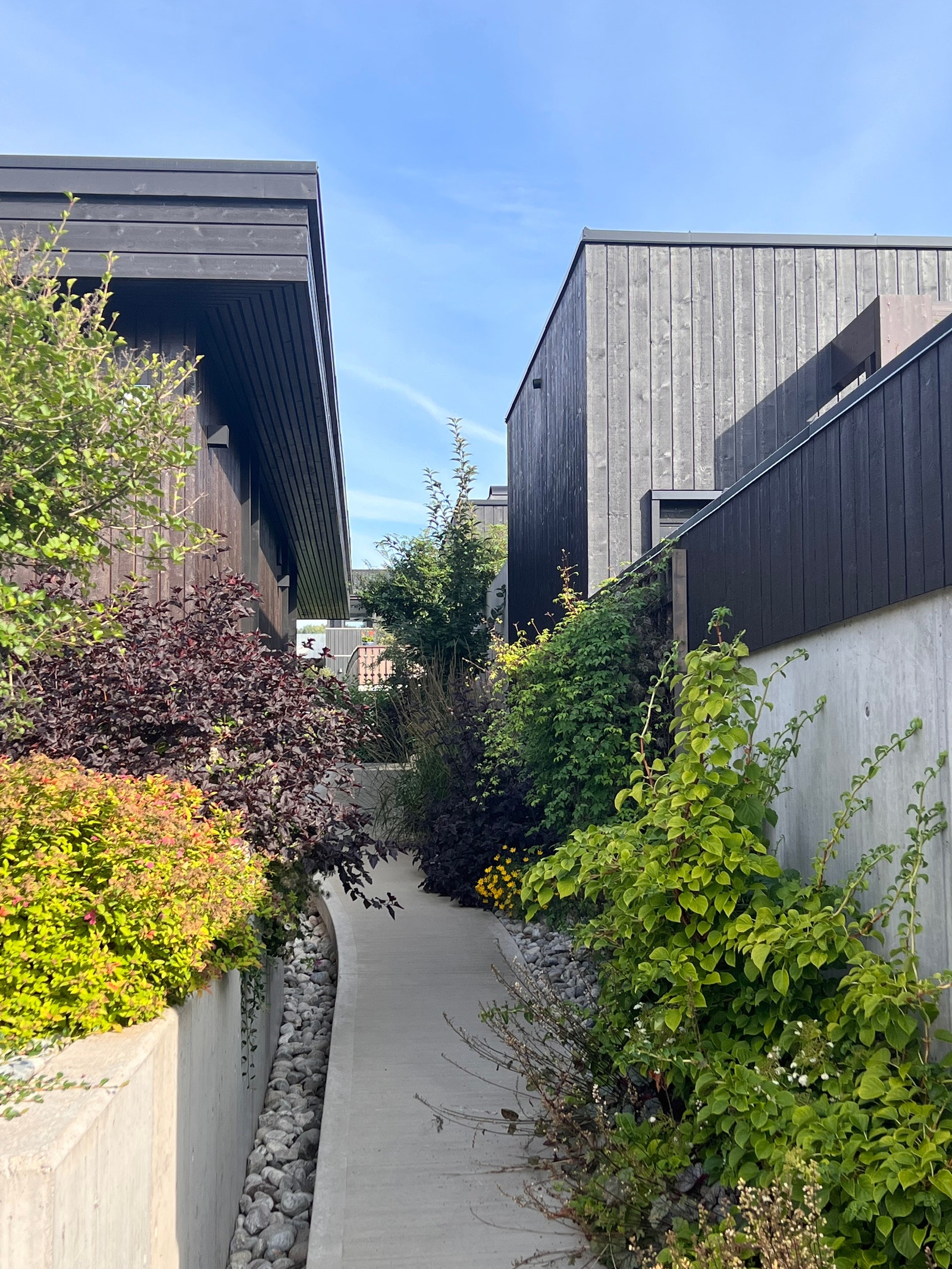 Hyggelig og opplyst betongsti opp til inngang. Galleribilde