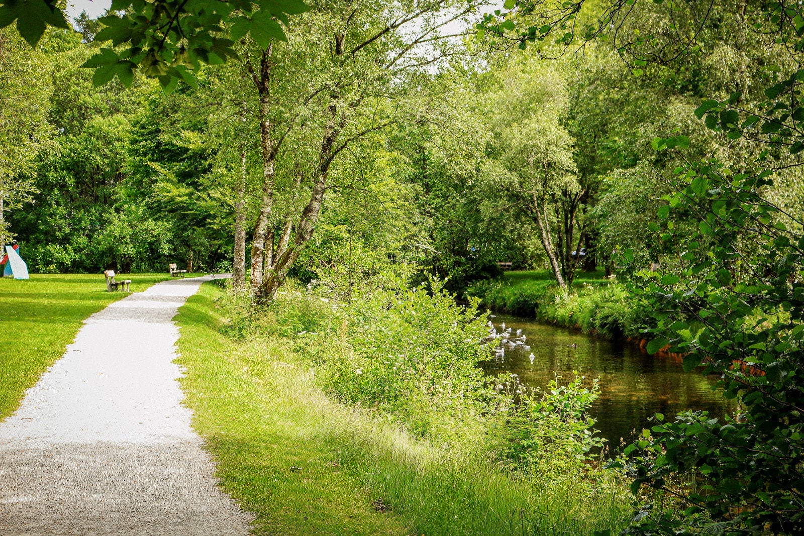 Legg joggeturen eller familieturen til Sandvedparken Galleribilde