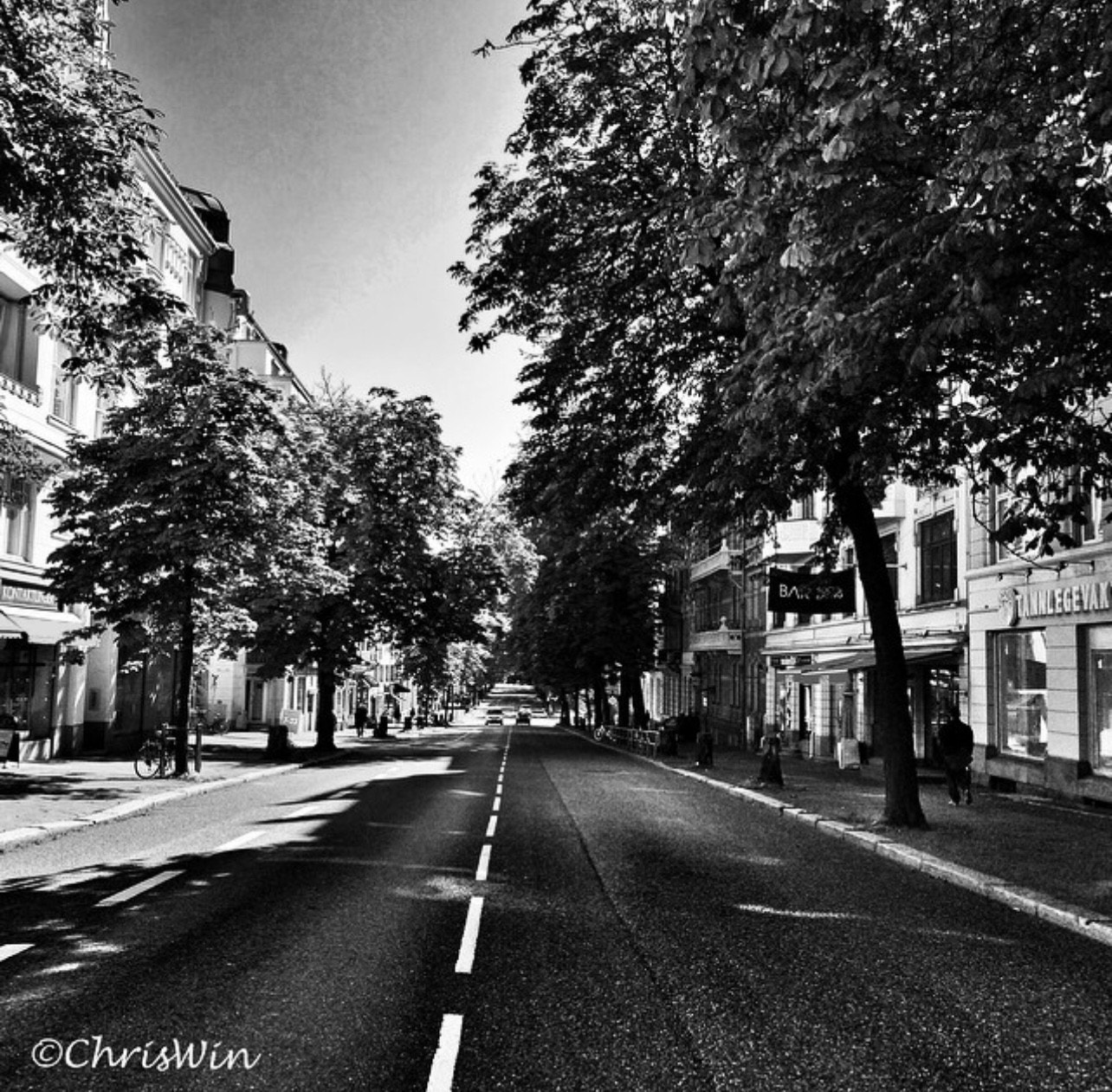 Bygdøy allé Galleribilde