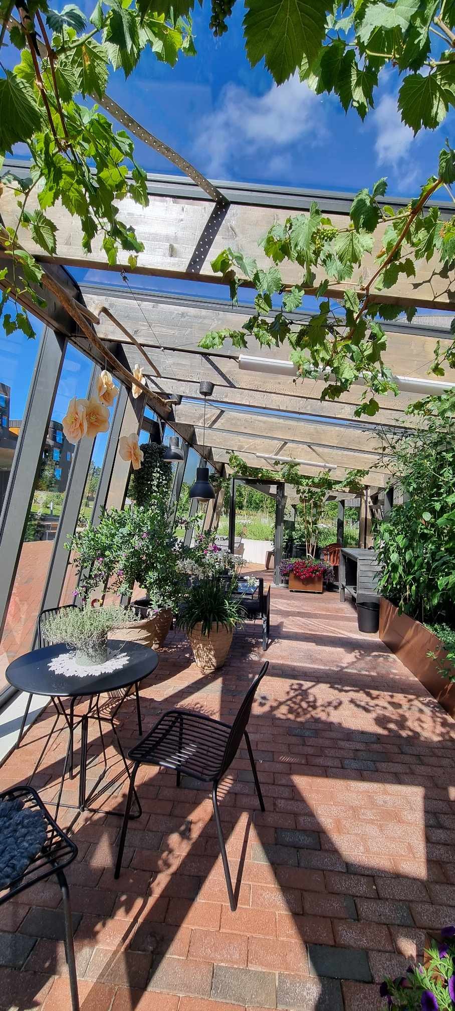 Orangeri/drivhus med blomster, planter, avis og stor trivsel Galleribilde