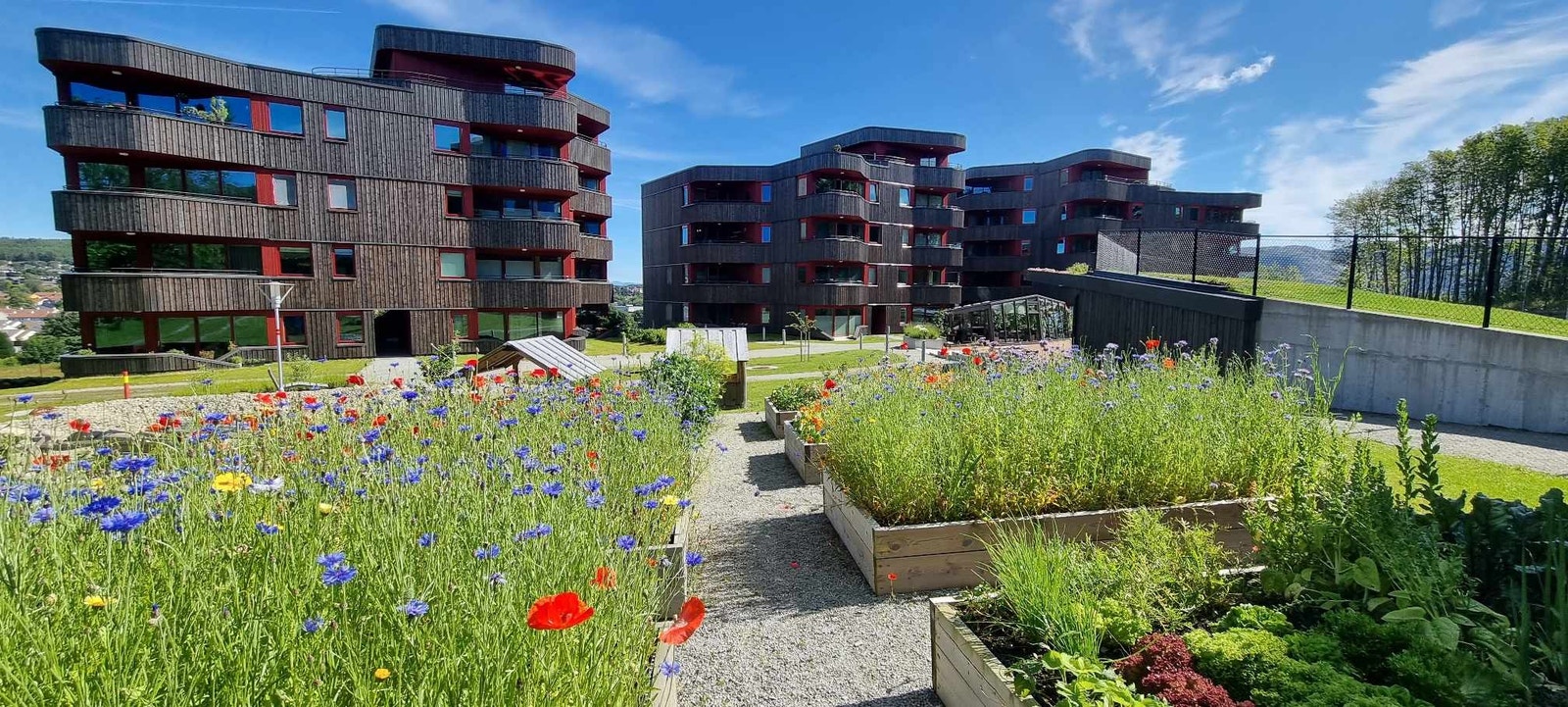 Blomster og urtekasser i fellesområdet Galleribilde