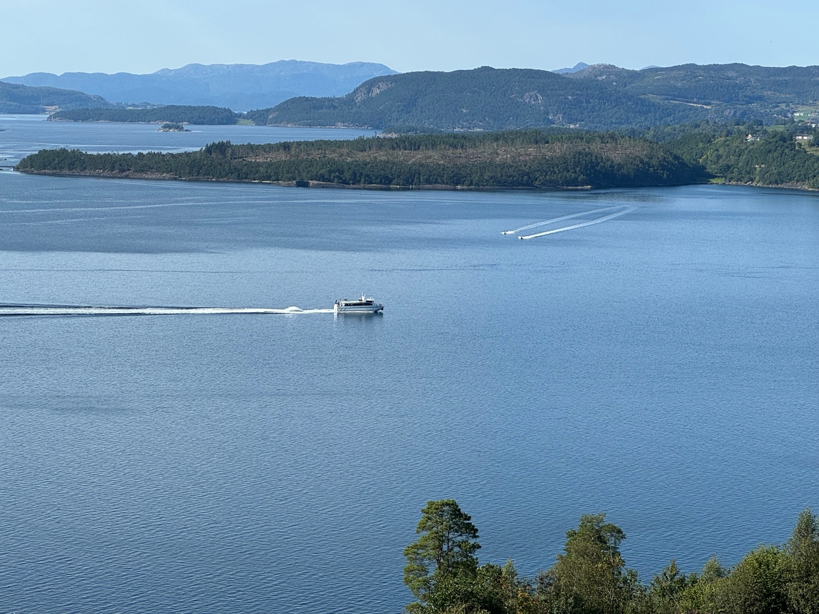 Liv på fjorden Galleribilde