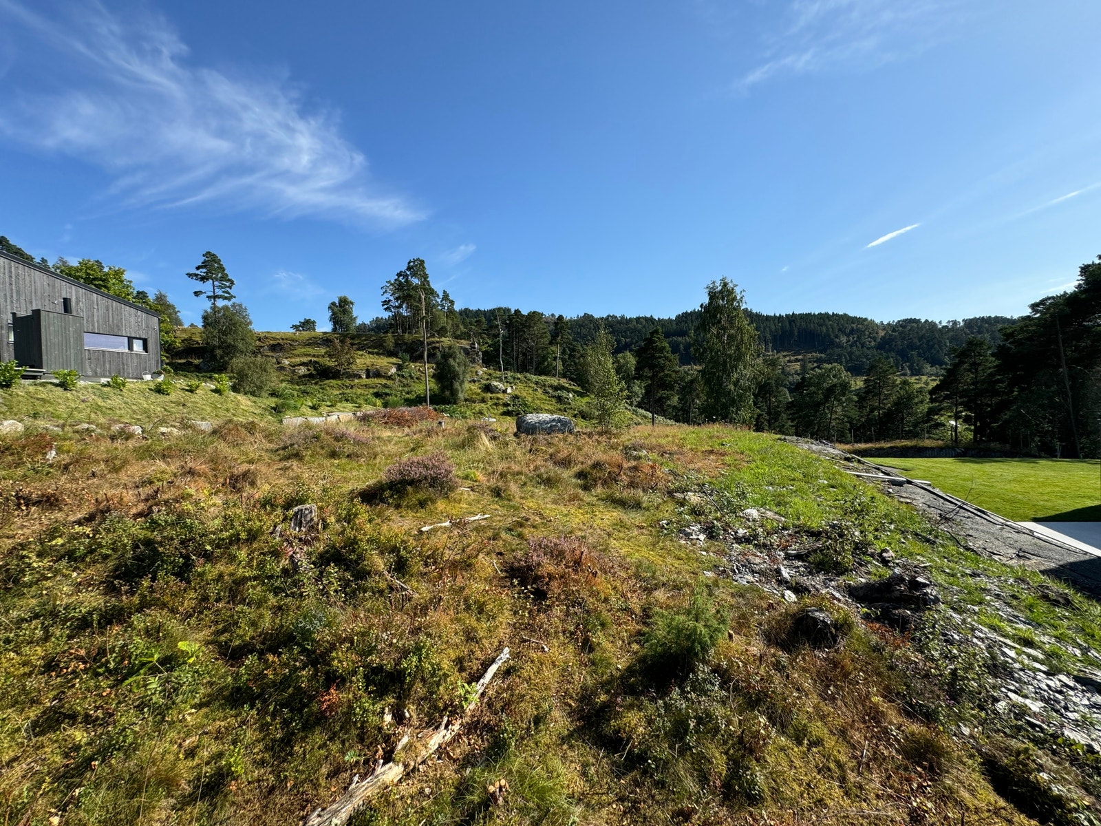 Luftige omgivelser med beiteområde bak feltet mot sør-øst. Galleribilde