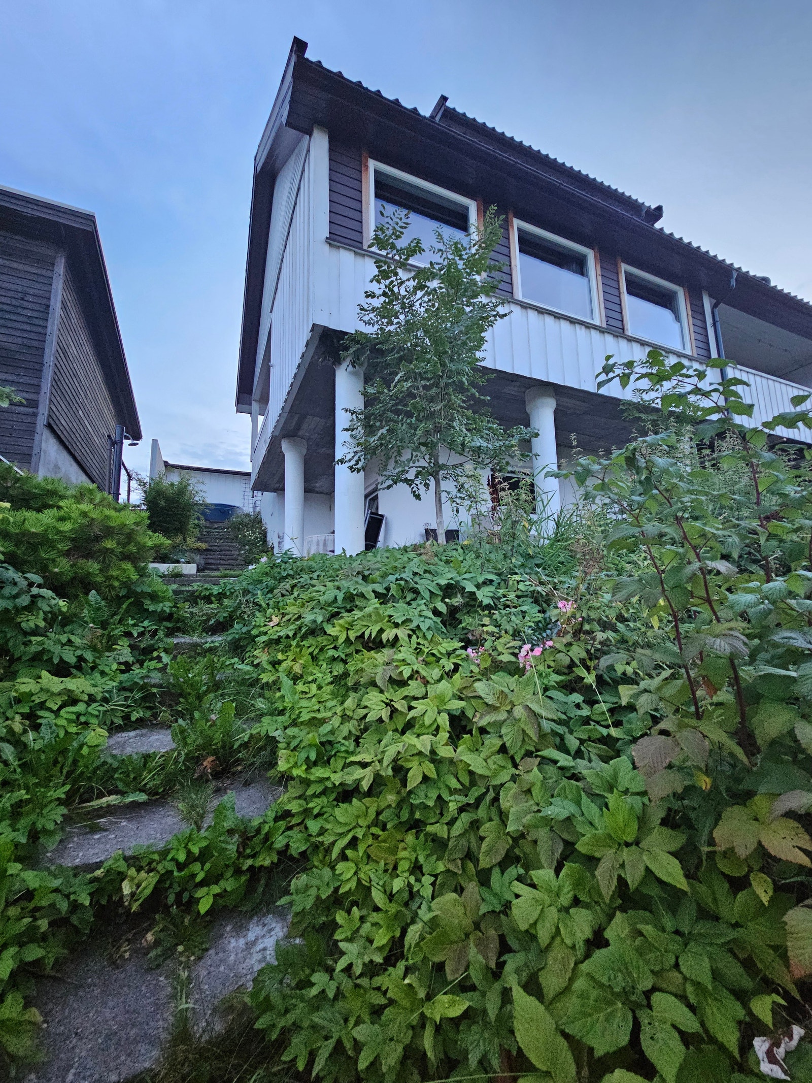 Huset sett fra hagen. Galleribilde