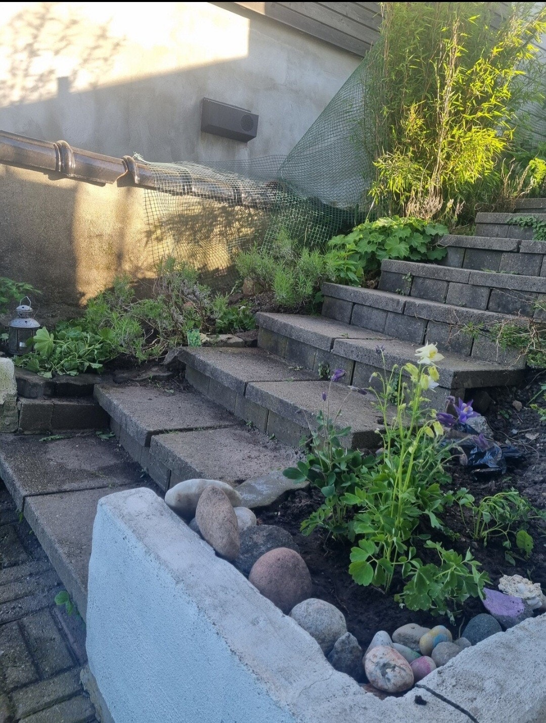 Atkomst Galleribilde