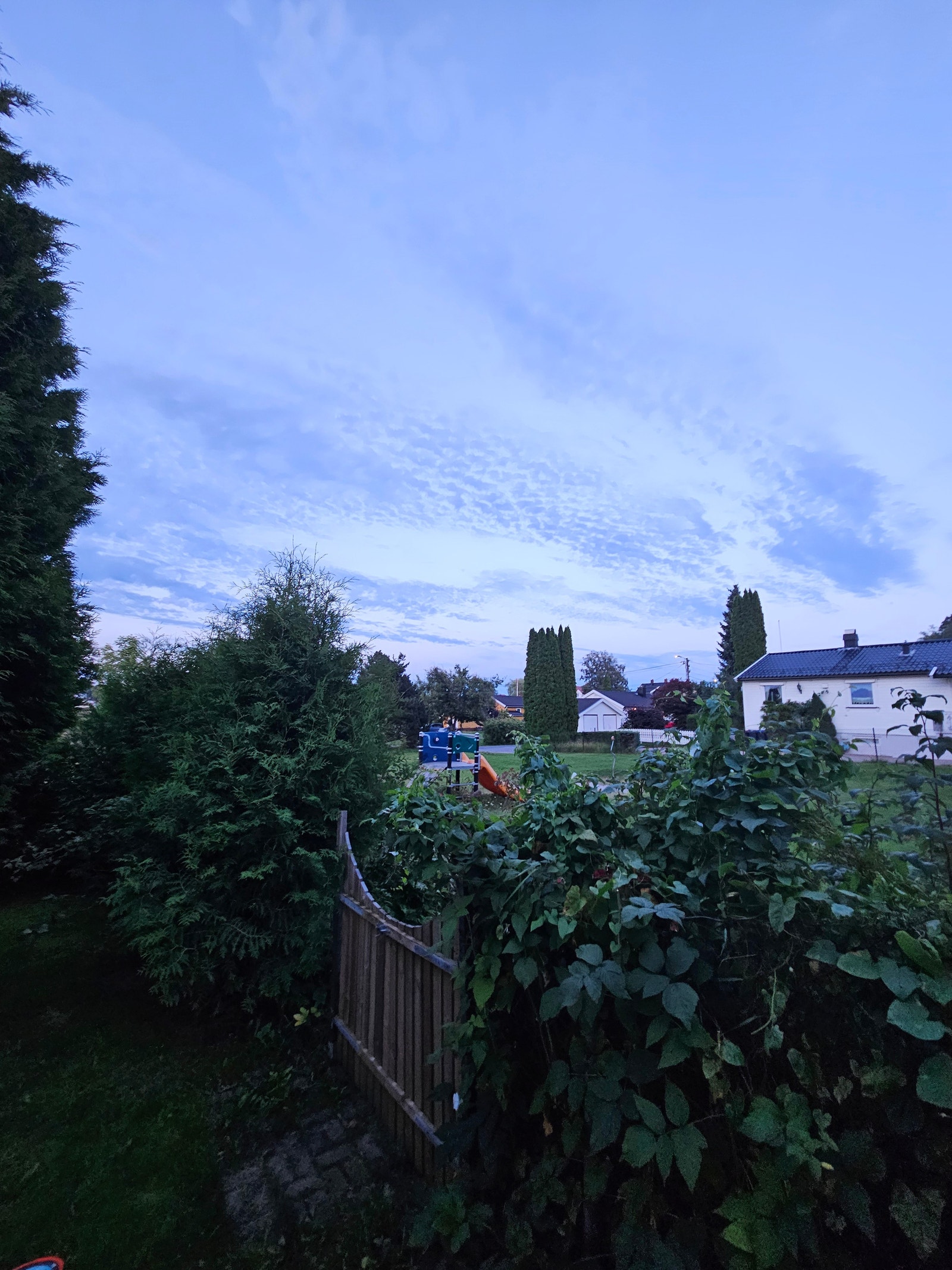 Lekeplass rett utenfor over gjerdet, kjempefint for barn 😊 Galleribilde