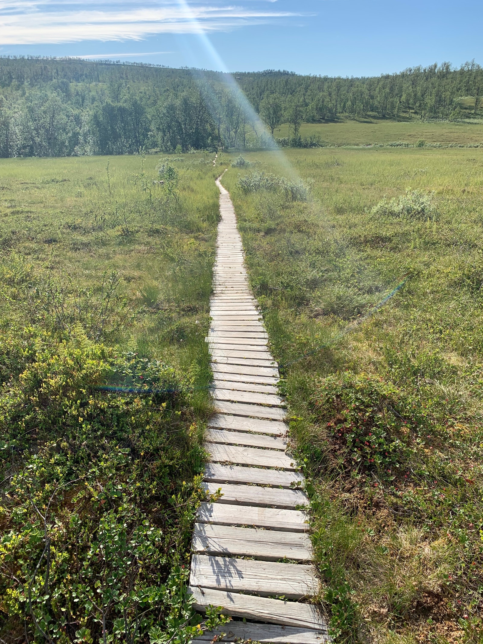 Flott gåtur fra parkering til og fra hytta på fine stier og skogsveier og på klopper over myrene. Galleribilde