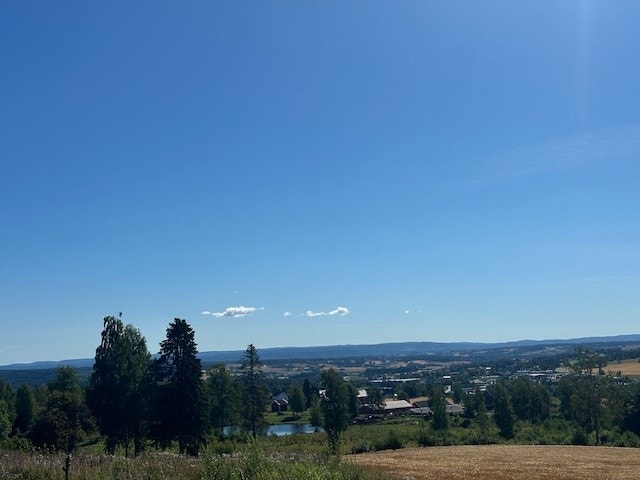 Utsikt mot sør Galleribilde