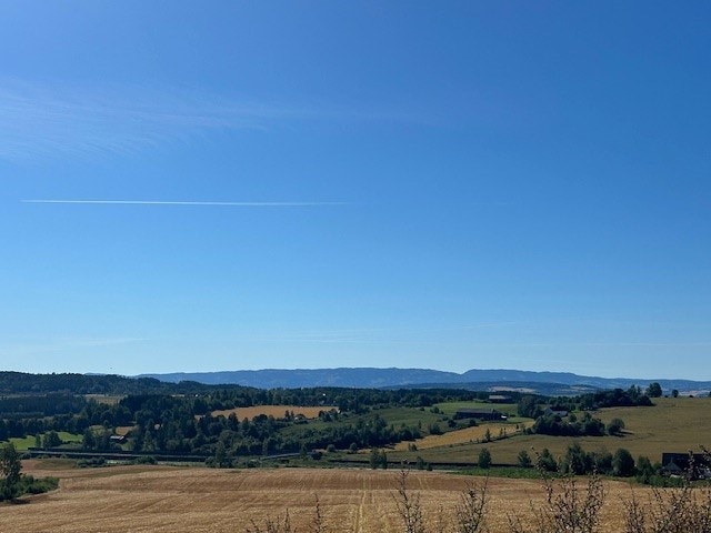 Utsikt mot vest. Galleribilde