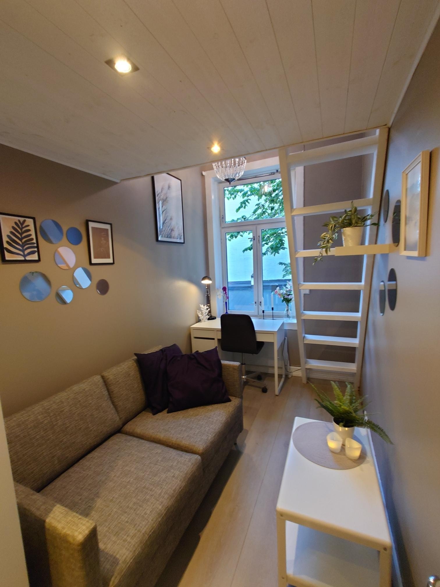 Rom med god sovesofa Galleribilde