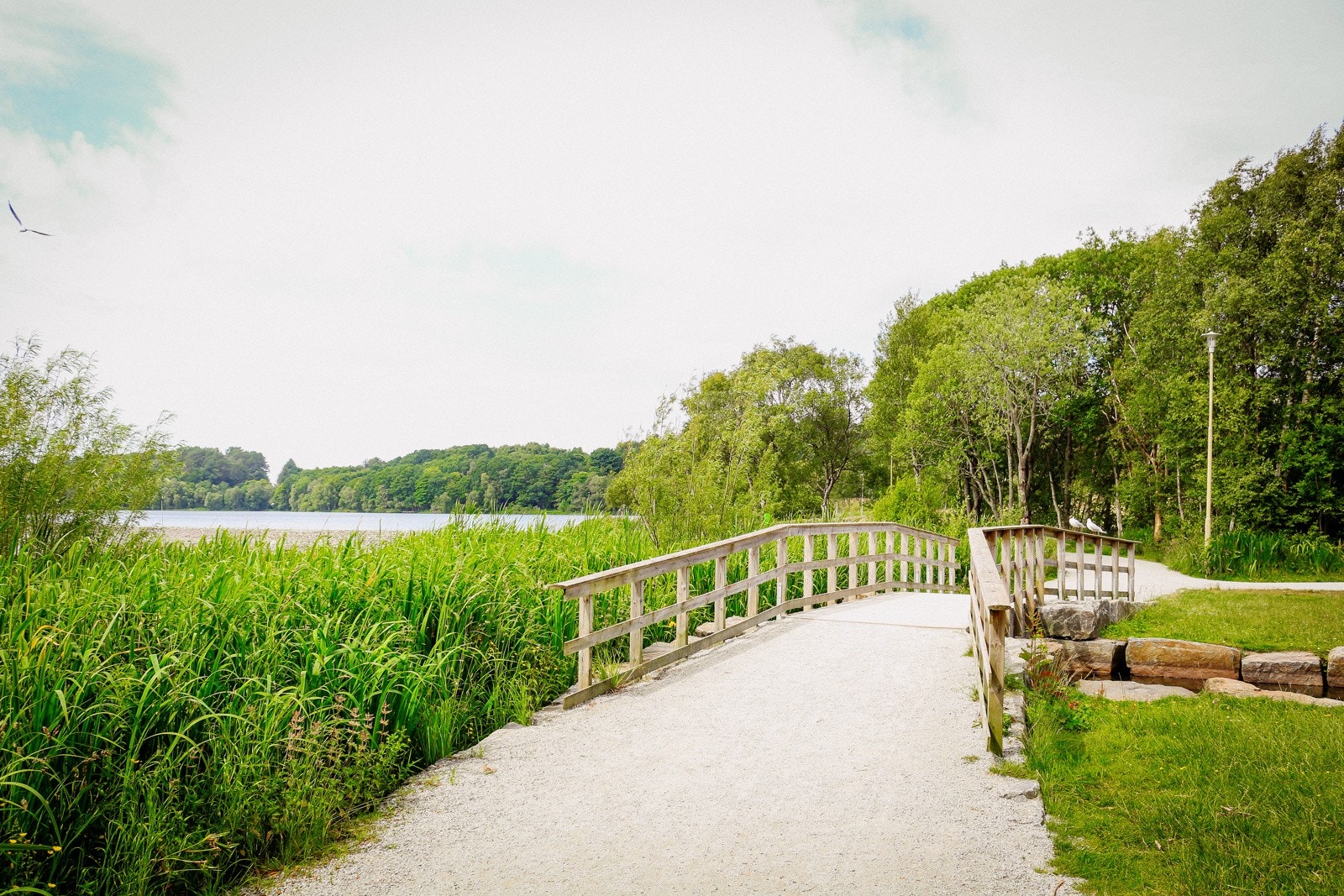 Like i nærheten finner du familiefavoritten Stokkavatnet Galleribilde