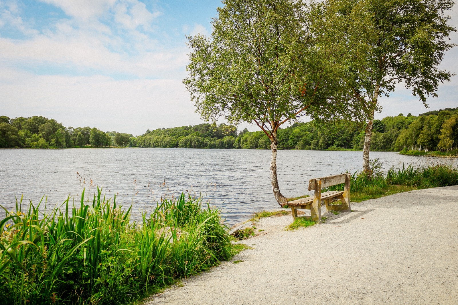 Det er flere turmuligheter i nærområdet Galleribilde
