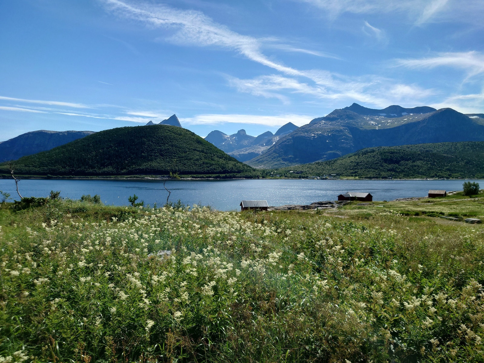 Utsikt fra Tomt Galleribilde