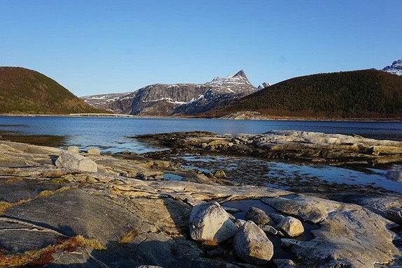 Fjæra Galleribilde