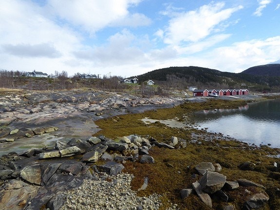 Fra sjøen, naustområde Galleribilde