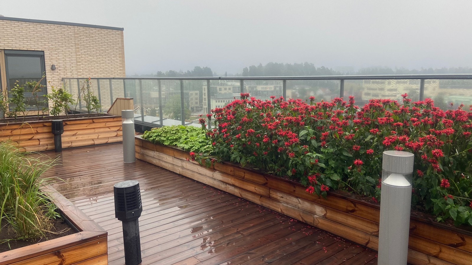 Takterrasse Galleribilde