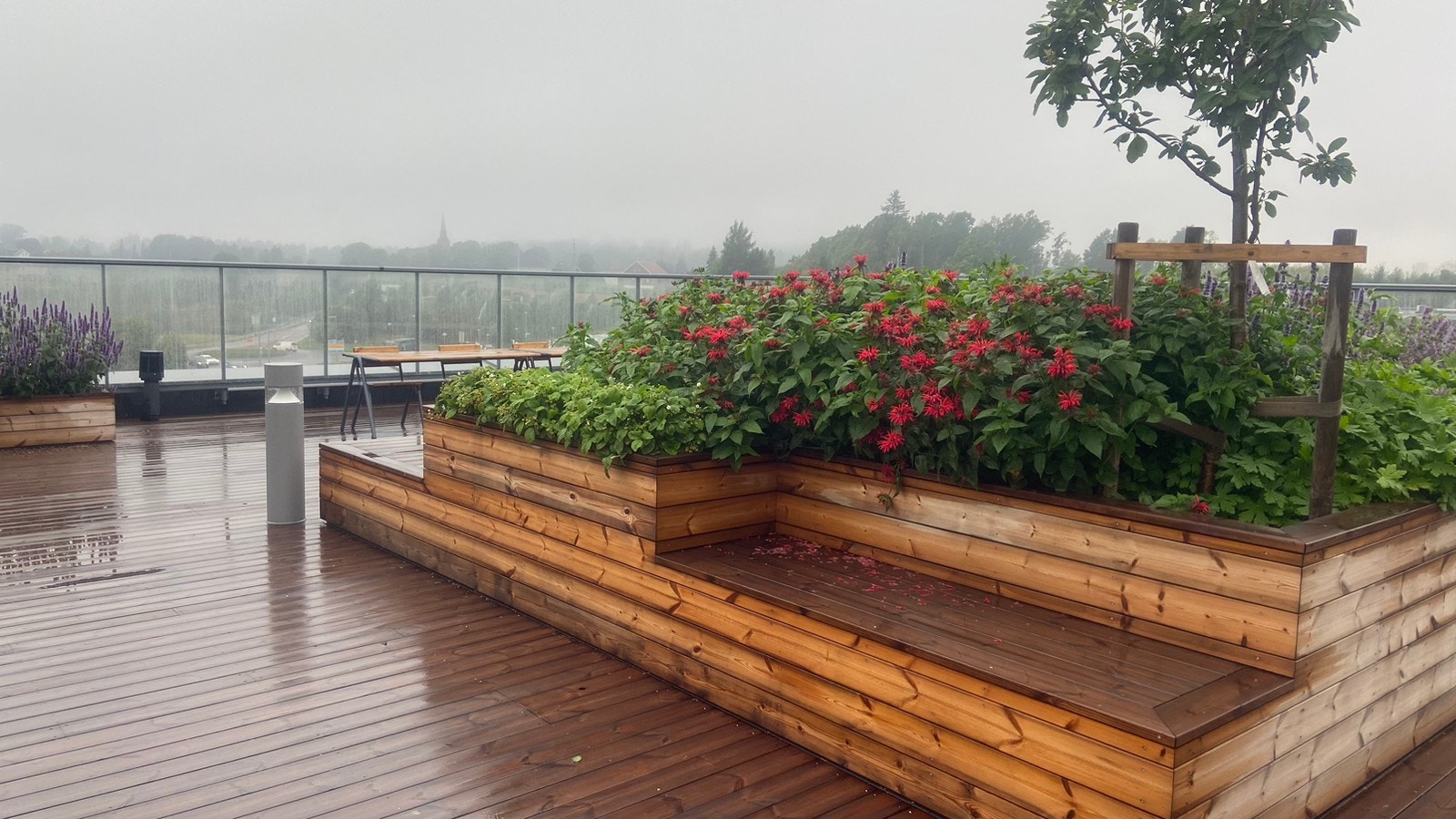 Takterrasse Galleribilde