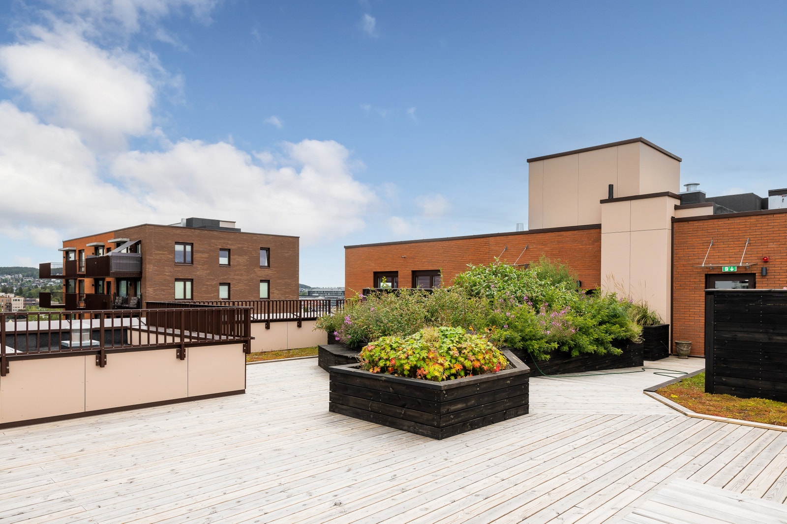 Felles takterrasse Galleribilde