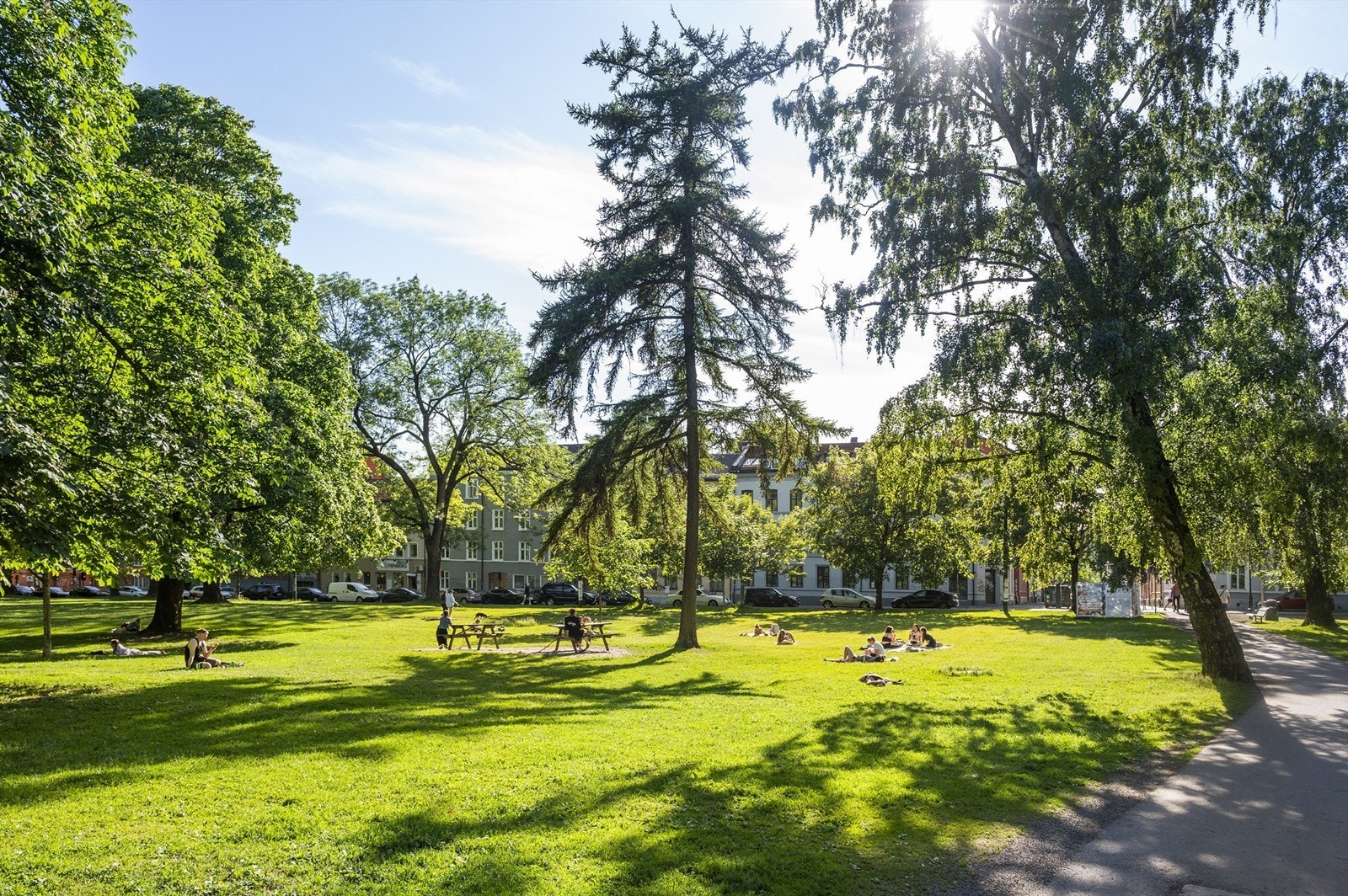 Idylliske Birkelunden, Sofienbergparken og Olaf Ryes Plass er noen få minutters gange unna. Akerselva er ca. 12 minutters gange unna med sine flotte turstier helt fra Bjørvika til Maridalsvannet. Her fra Sofienbergparken Galleribilde