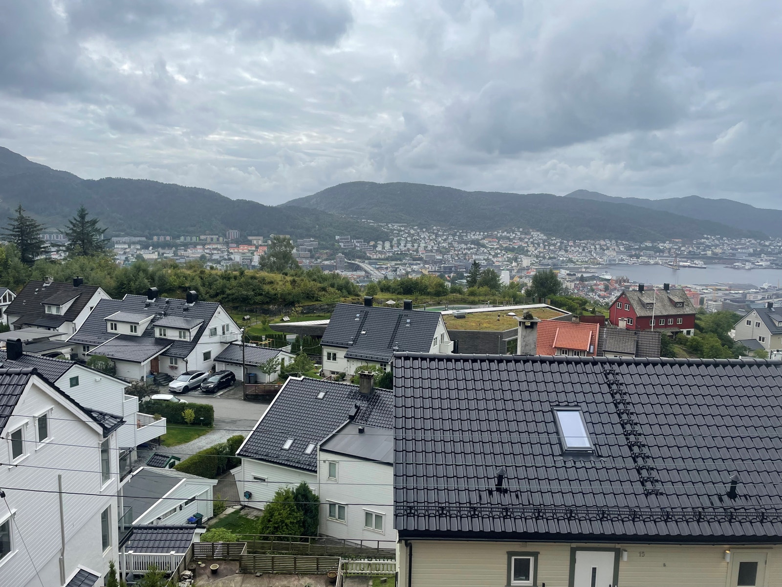 Utsikt mot løvstakken Galleribilde