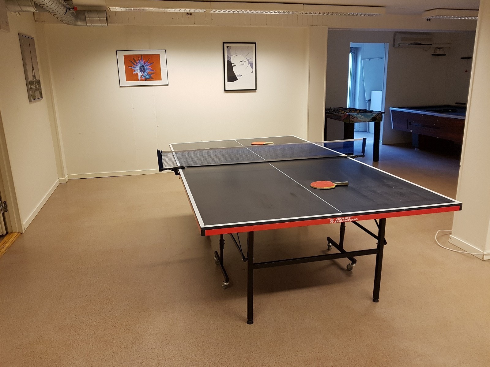 Bordtennisbord Galleribilde