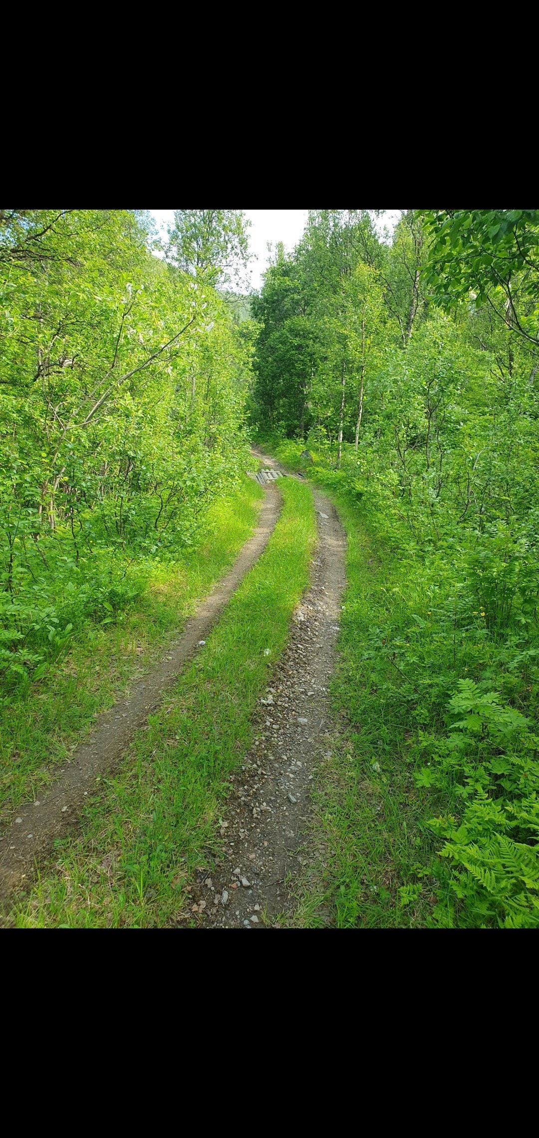 Traktorvei på 62/1 Galleribilde