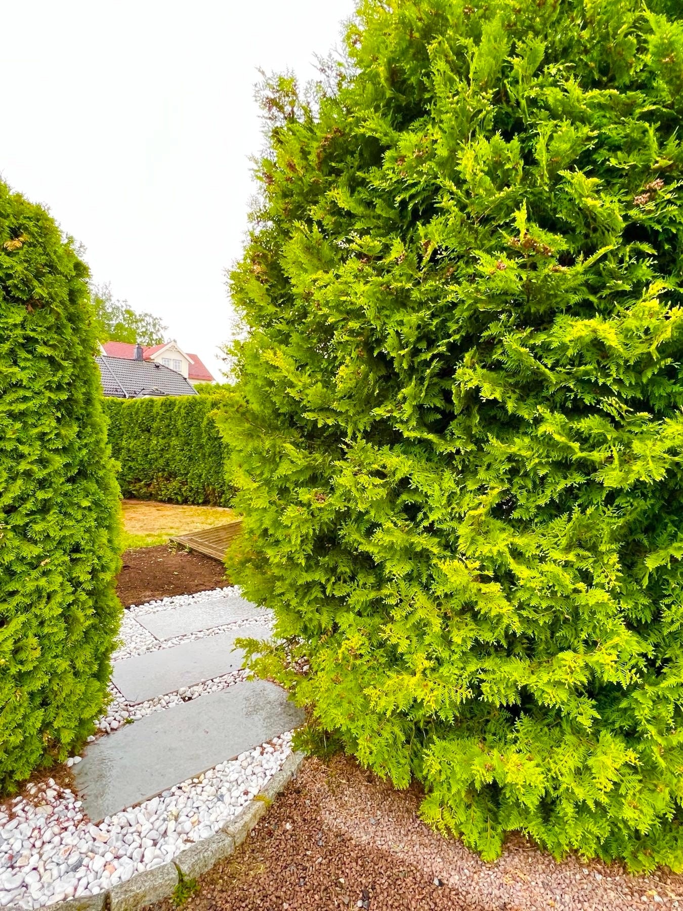 Inngang hage fra utsiden Galleribilde