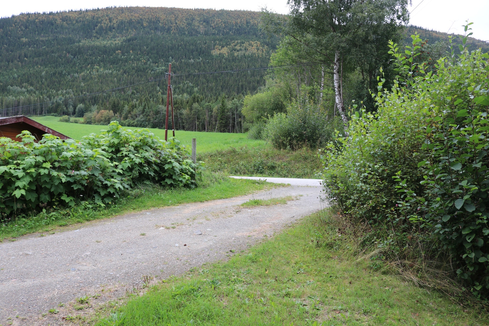 Innkjørsel Galleribilde