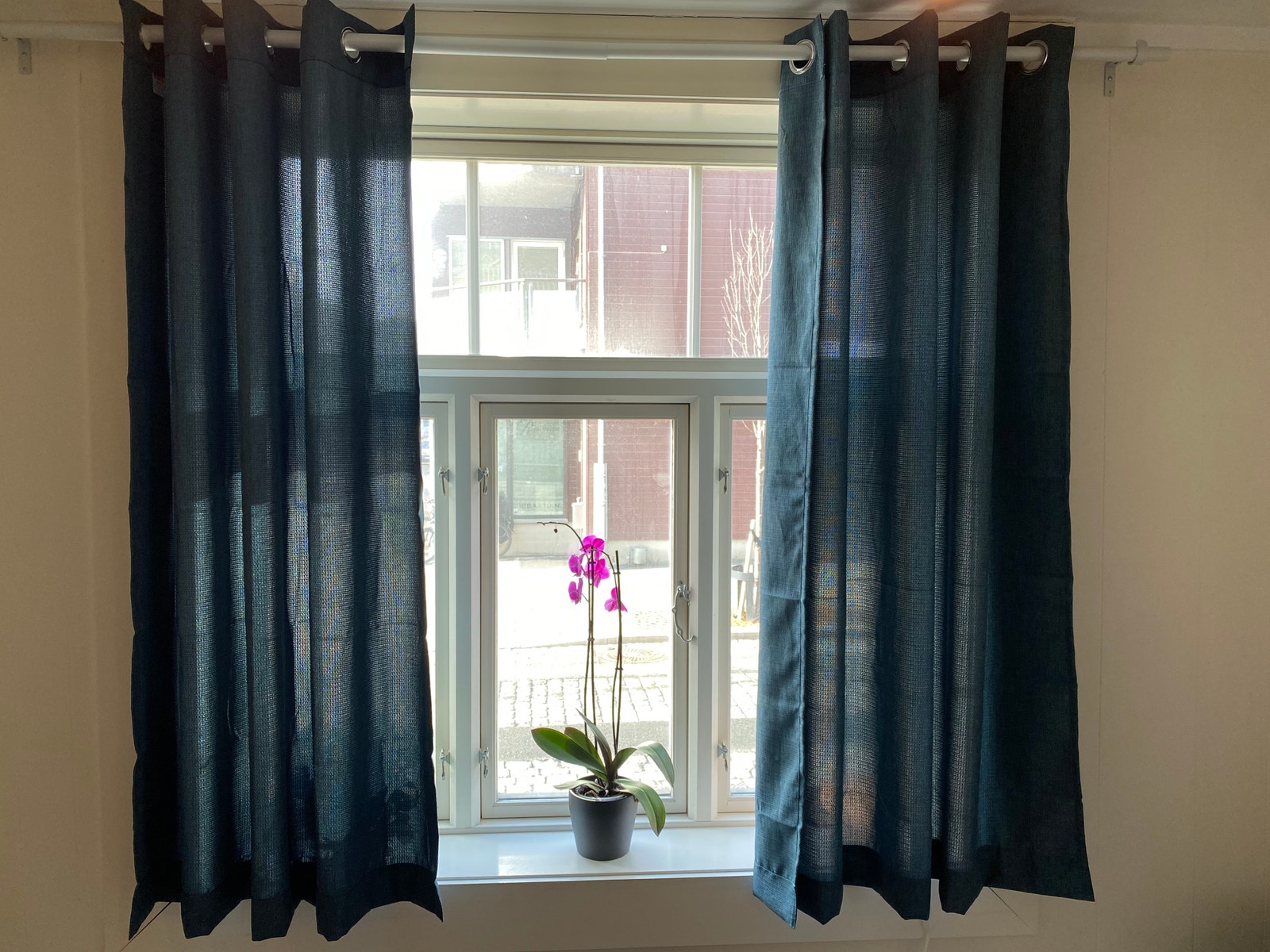 Stort vindu stuen Galleribilde